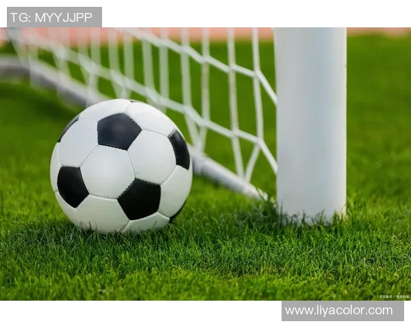 球星足球风格特点分析与个性化技术特点的全面解读